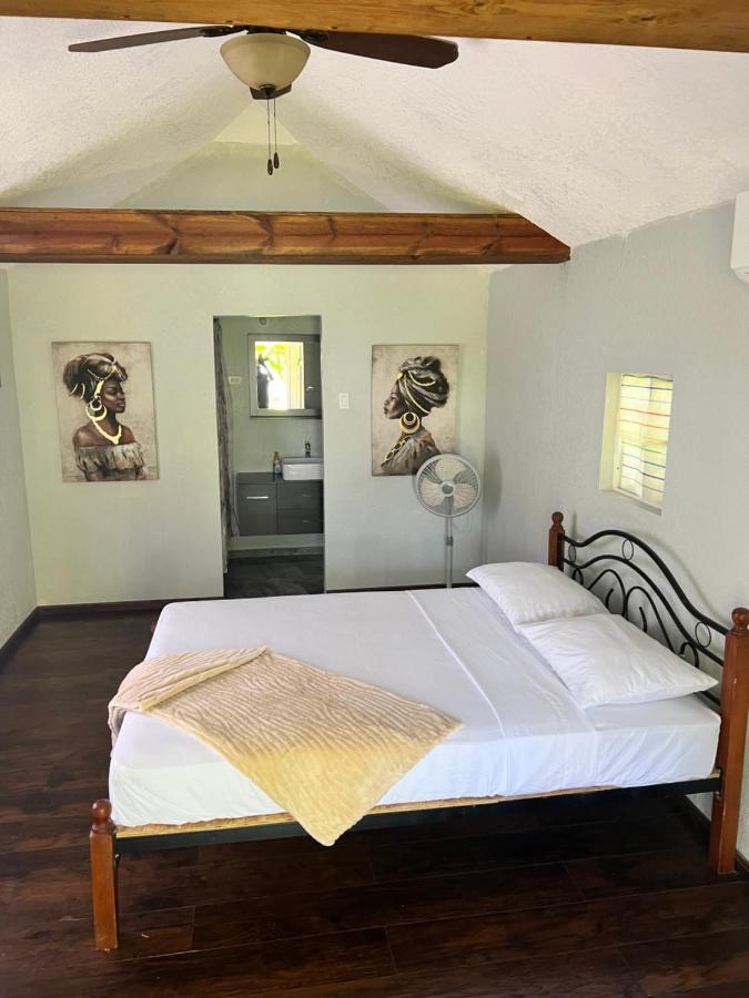 Jamaica Colors Hotel And Eco-Retreat Πορτ Αντόνιο Εξωτερικό φωτογραφία