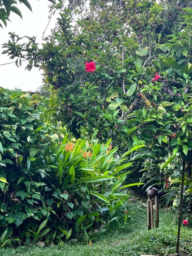Jamaica Colors Hotel And Eco-Retreat Πορτ Αντόνιο Εξωτερικό φωτογραφία