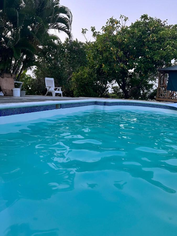 Jamaica Colors Hotel And Eco-Retreat Πορτ Αντόνιο Εξωτερικό φωτογραφία