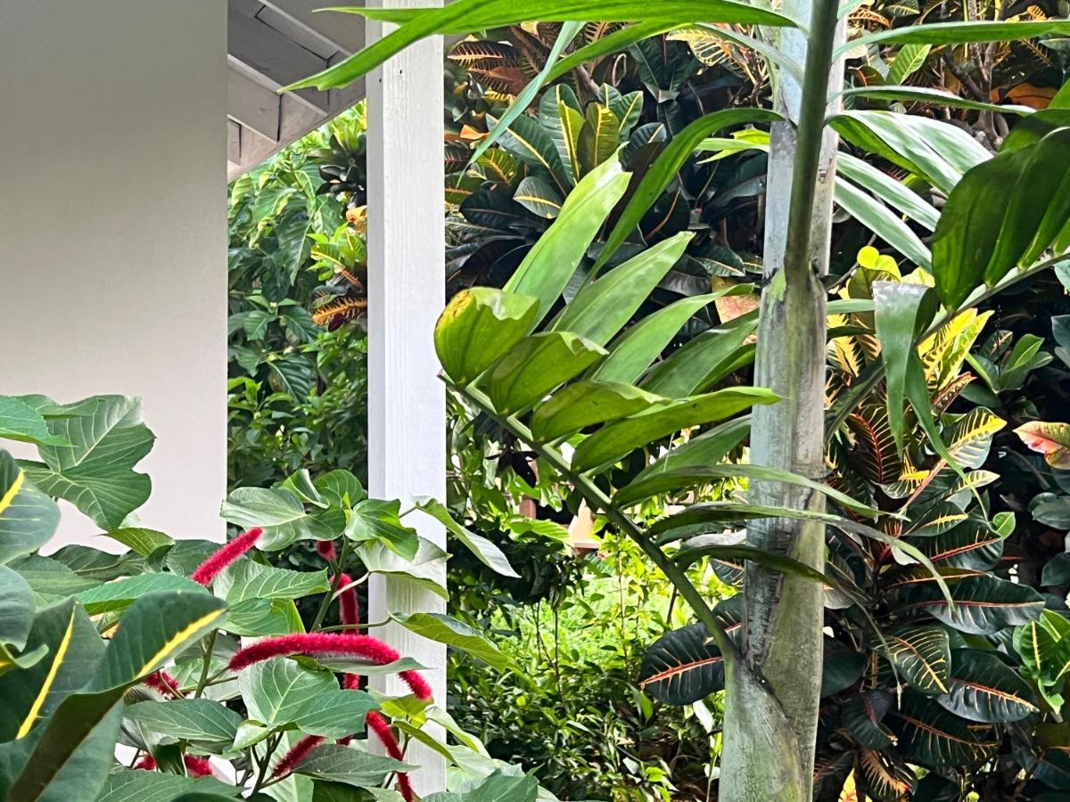 Jamaica Colors Hotel And Eco-Retreat Πορτ Αντόνιο Εξωτερικό φωτογραφία