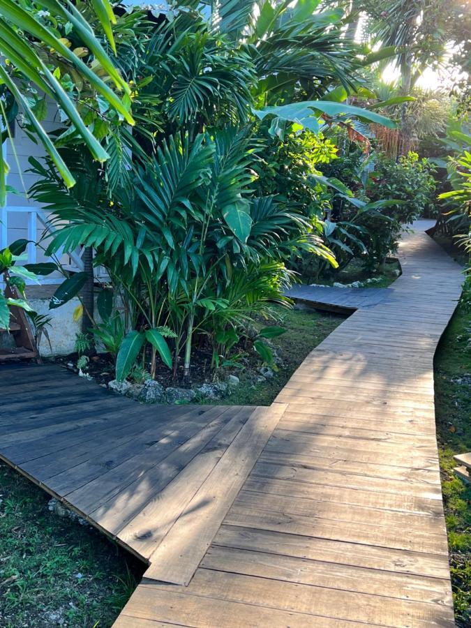 Jamaica Colors Hotel And Eco-Retreat Πορτ Αντόνιο Εξωτερικό φωτογραφία