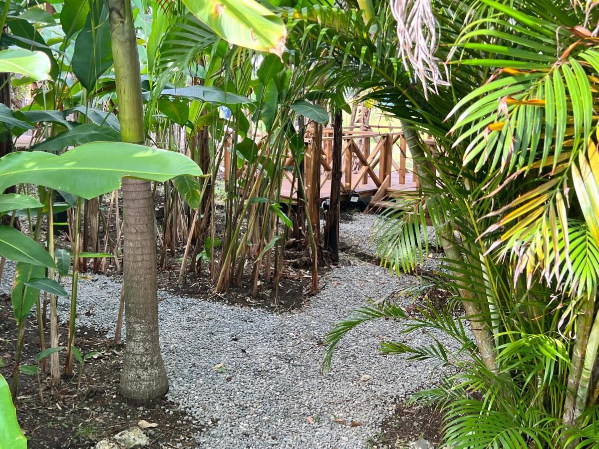 Jamaica Colors Hotel And Eco-Retreat Πορτ Αντόνιο Εξωτερικό φωτογραφία