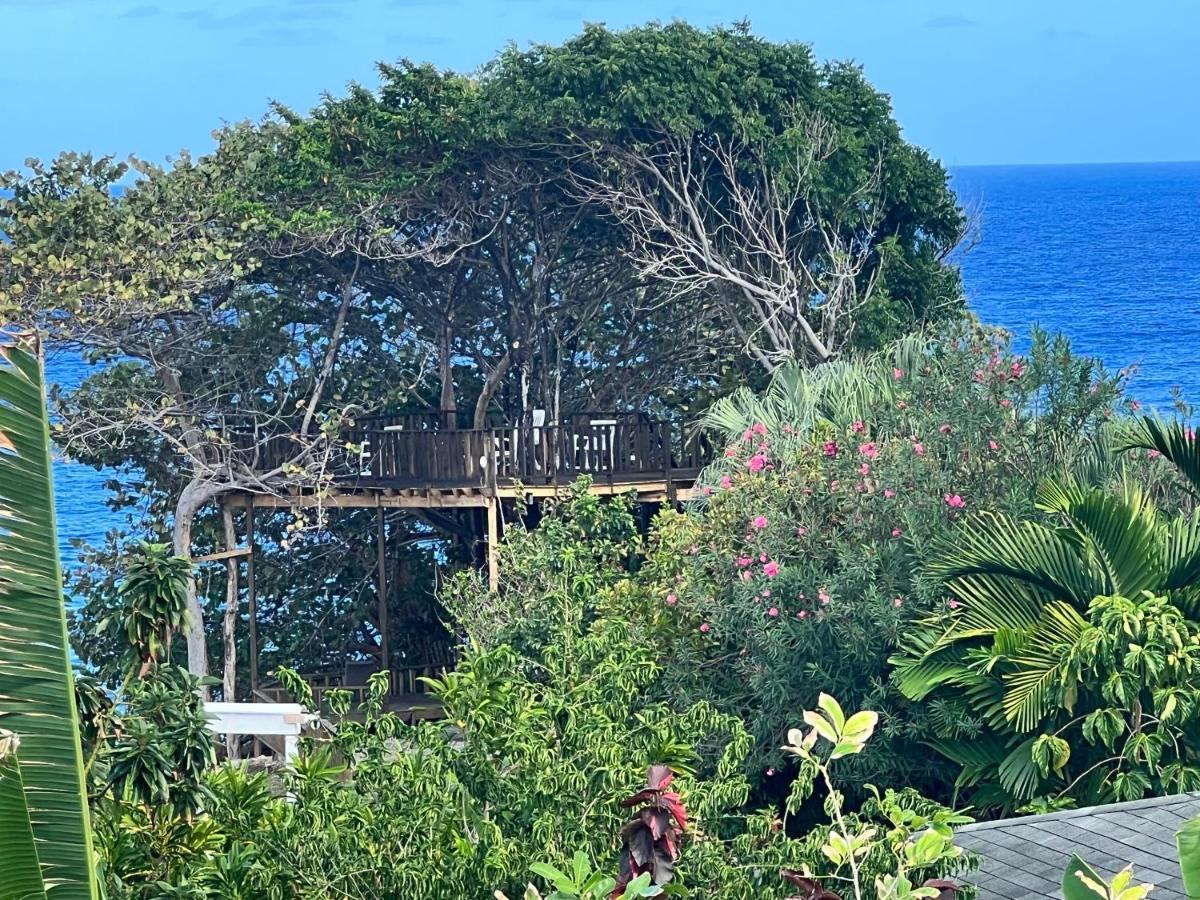 Jamaica Colors Hotel And Eco-Retreat Πορτ Αντόνιο Εξωτερικό φωτογραφία