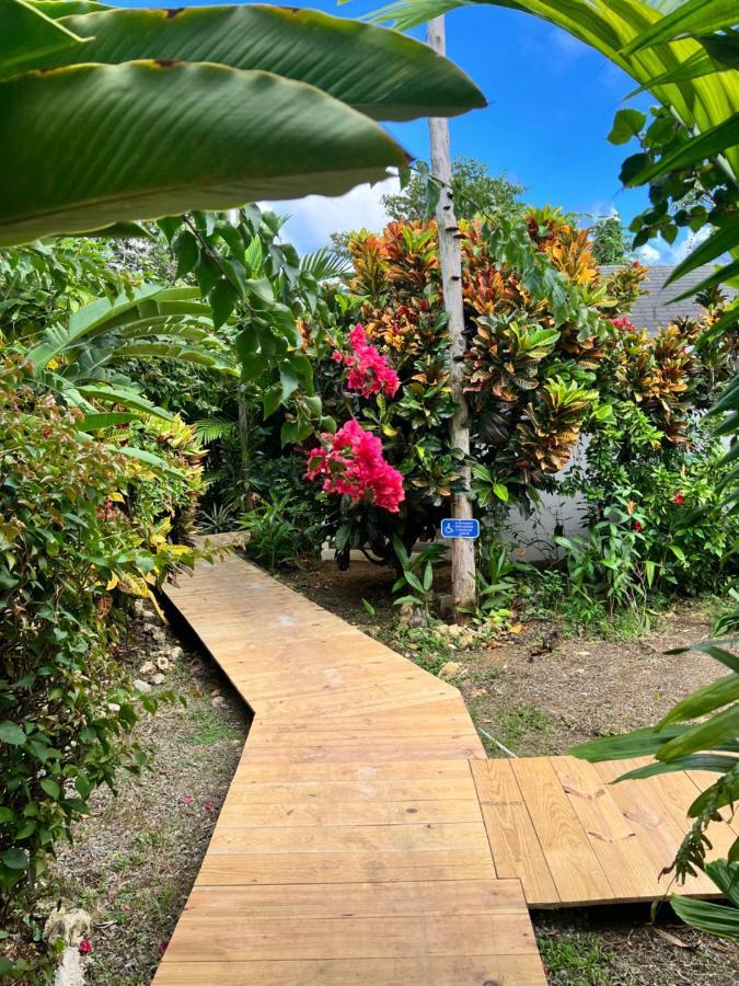 Jamaica Colors Hotel And Eco-Retreat Πορτ Αντόνιο Εξωτερικό φωτογραφία