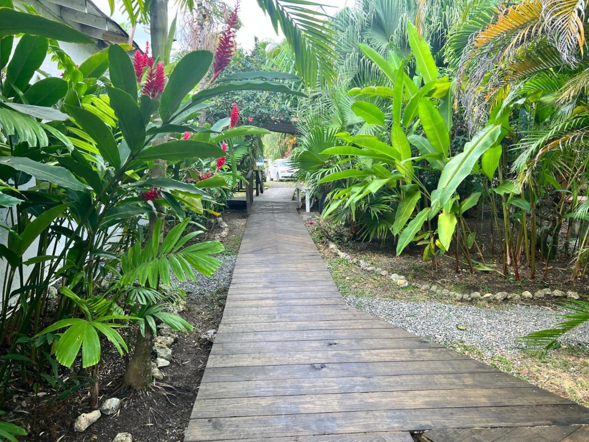 Jamaica Colors Hotel And Eco-Retreat Πορτ Αντόνιο Εξωτερικό φωτογραφία