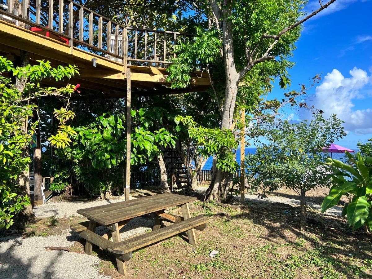 Jamaica Colors Hotel And Eco-Retreat Πορτ Αντόνιο Εξωτερικό φωτογραφία