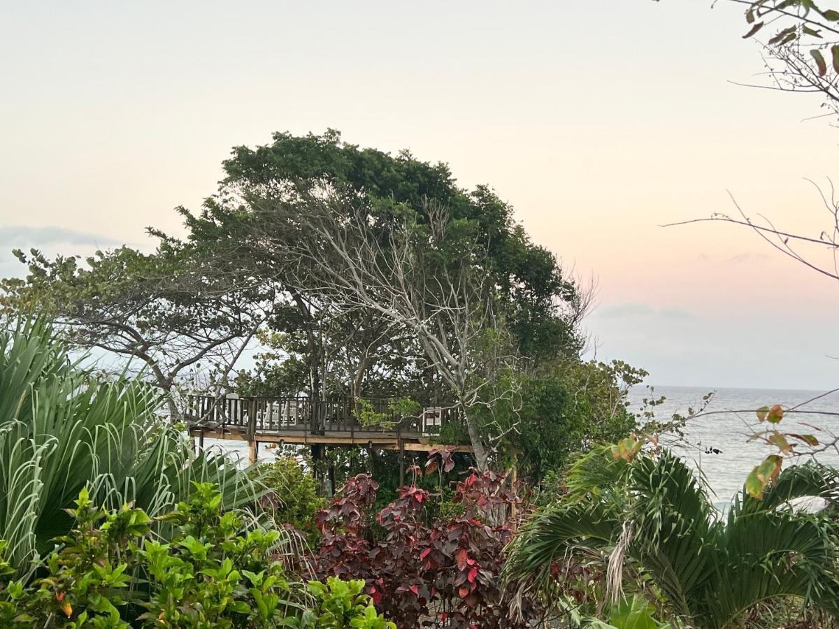 Jamaica Colors Hotel And Eco-Retreat Πορτ Αντόνιο Εξωτερικό φωτογραφία