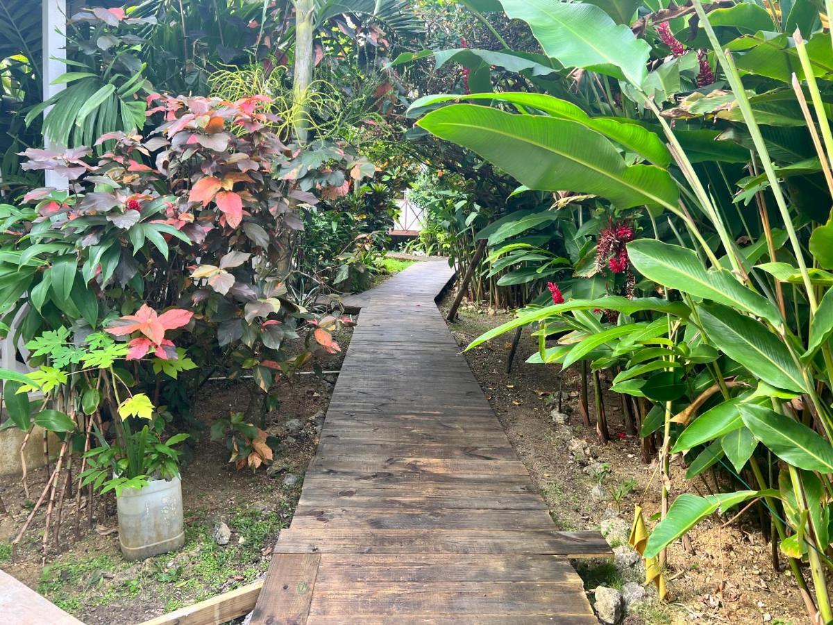 Jamaica Colors Hotel And Eco-Retreat Πορτ Αντόνιο Εξωτερικό φωτογραφία