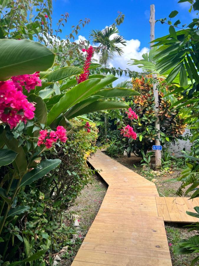 Jamaica Colors Hotel And Eco-Retreat Πορτ Αντόνιο Εξωτερικό φωτογραφία