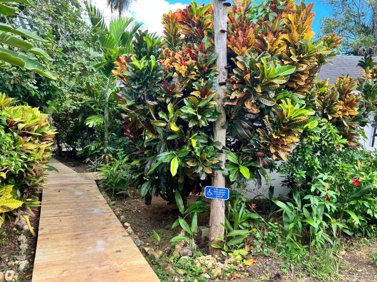 Jamaica Colors Hotel And Eco-Retreat Πορτ Αντόνιο Εξωτερικό φωτογραφία