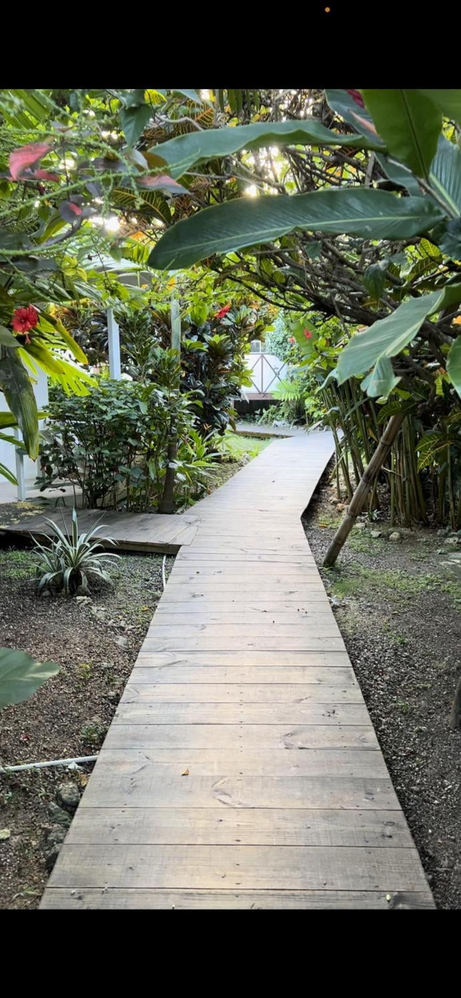 Jamaica Colors Hotel And Eco-Retreat Πορτ Αντόνιο Εξωτερικό φωτογραφία